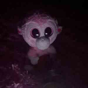 Meet your Posher, Sareana